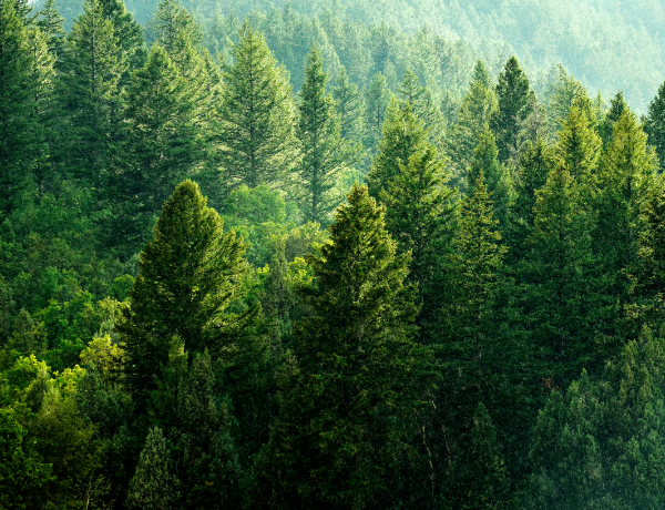 環境課題への取り組み